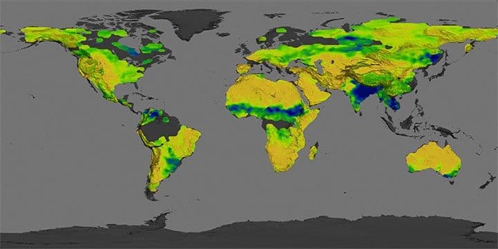 Looking for Salt, Seeing Soil Moisture