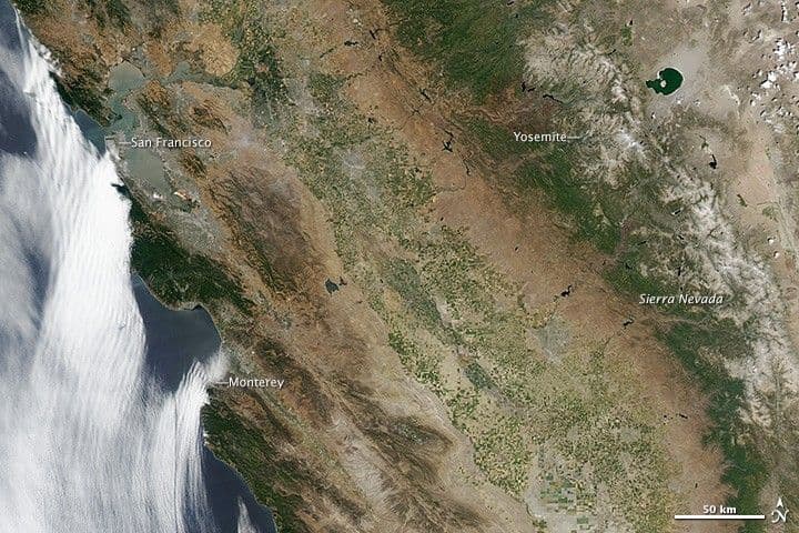 The Golden-Brown State