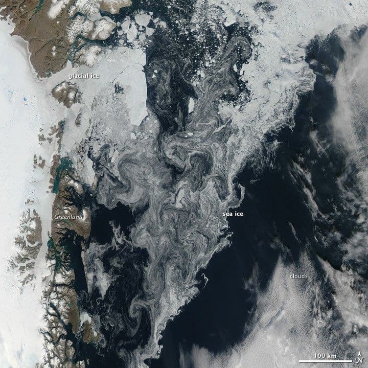 Ice in the Greenland Sea