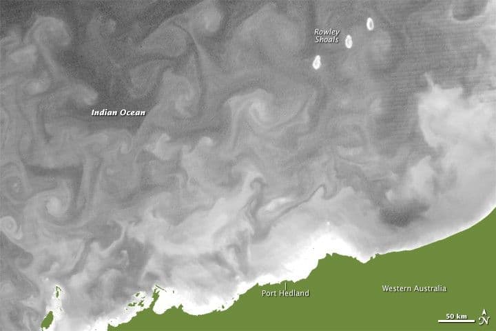 Chlorophyll Traces Currents off Australia’s Northwest Coast