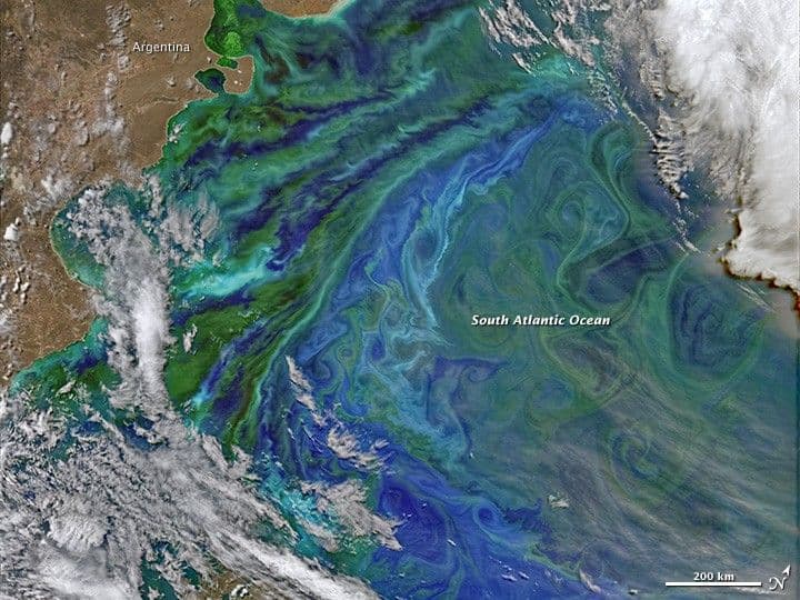 Colorful and Plankton-full Patagonian Waters