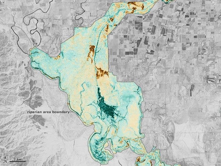 A Pulse of New Life on the Colorado River