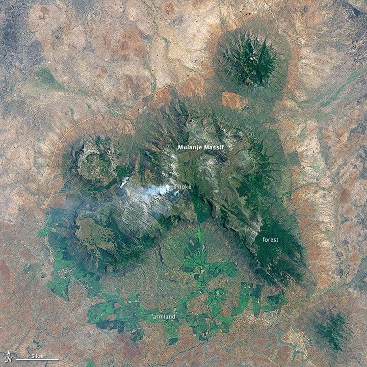 The Forests of Mulanje