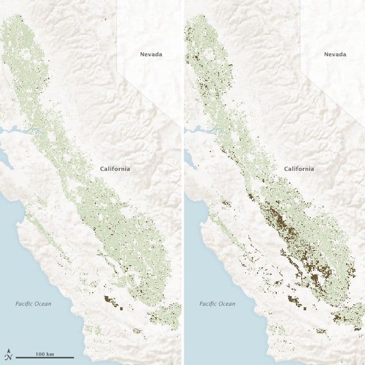 Satellites Spot Fields Idled by Drought