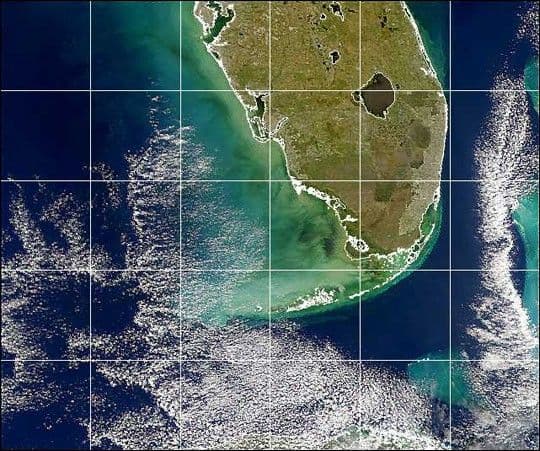 Black Water off the Gulf Coast of Florida