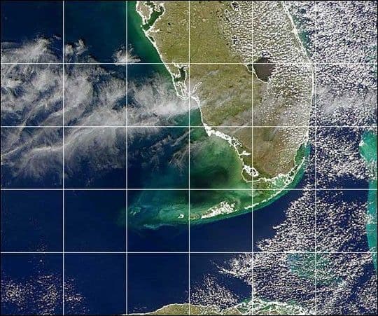Black Water off the Gulf Coast of Florida
