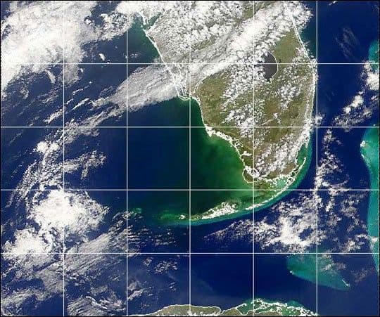Black Water off the Gulf Coast of Florida
