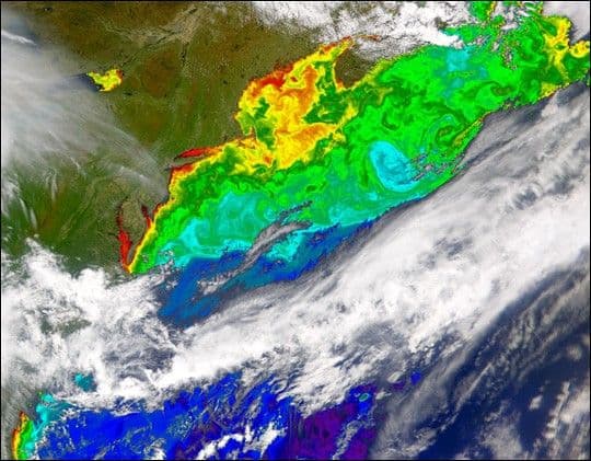 North Atlantic in Bloom