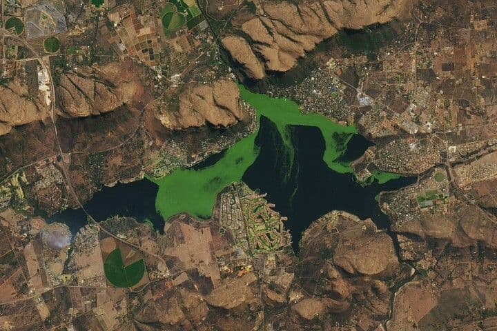 Plants and Algae Swirl Across a South African Reservoir