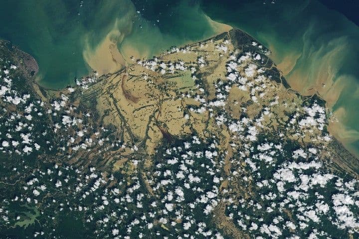 Senyar Swamps Sumatra