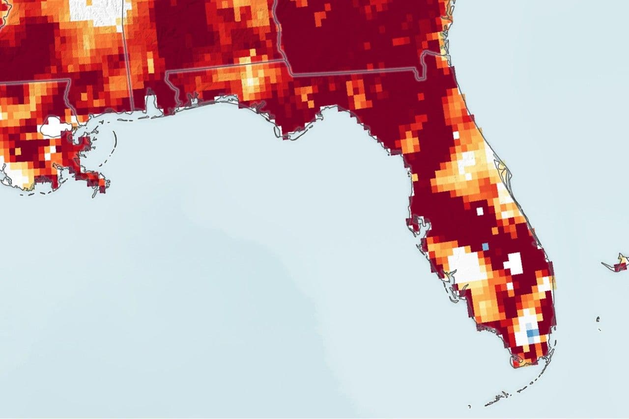 Drought Parches Florida