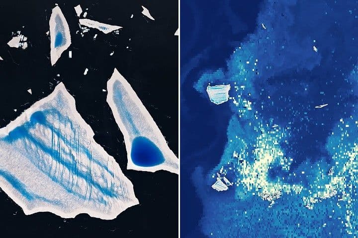 Ailing “Megaberg” Sparks Surge of Microscopic Life