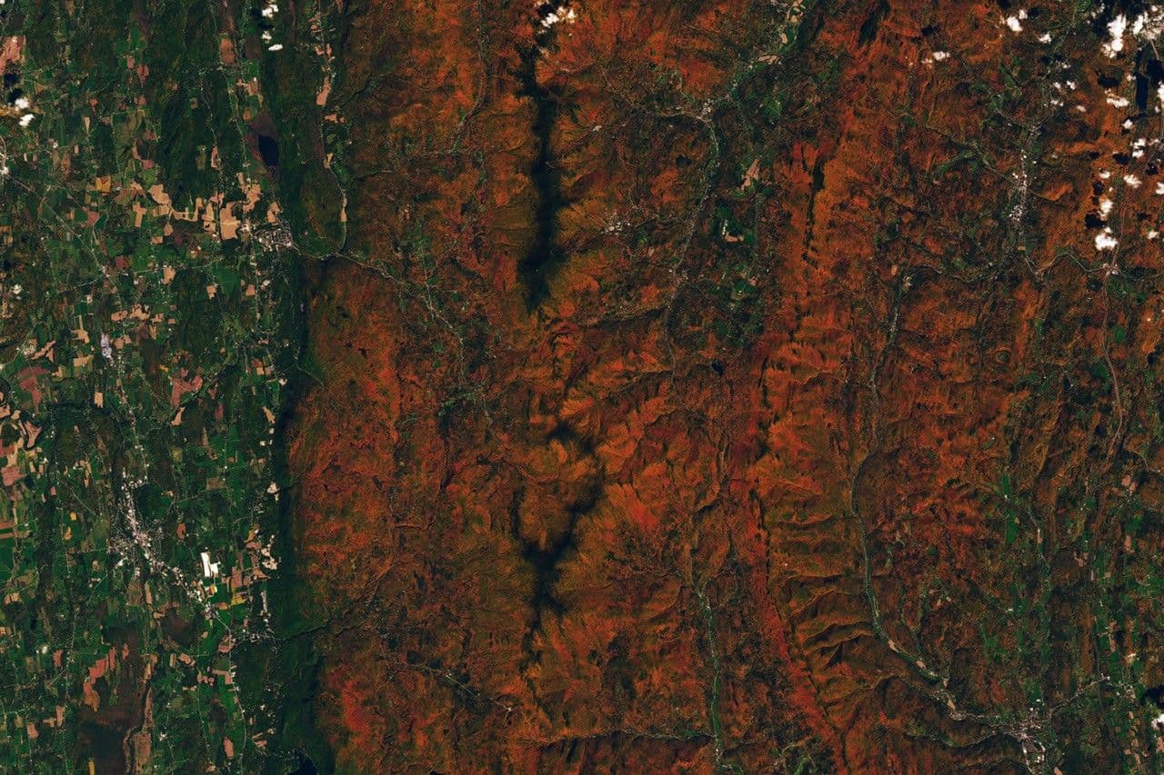 Hunting Red Leaves with Satellites