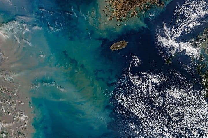 Showy Swirls Around Jeju Island