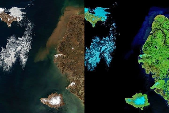 Signs of Thaw in the Bering Sea