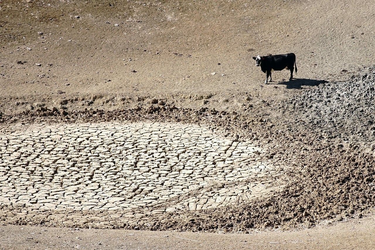 US-German Water Satellites Show Continental Dry Spots Are Getting Drier