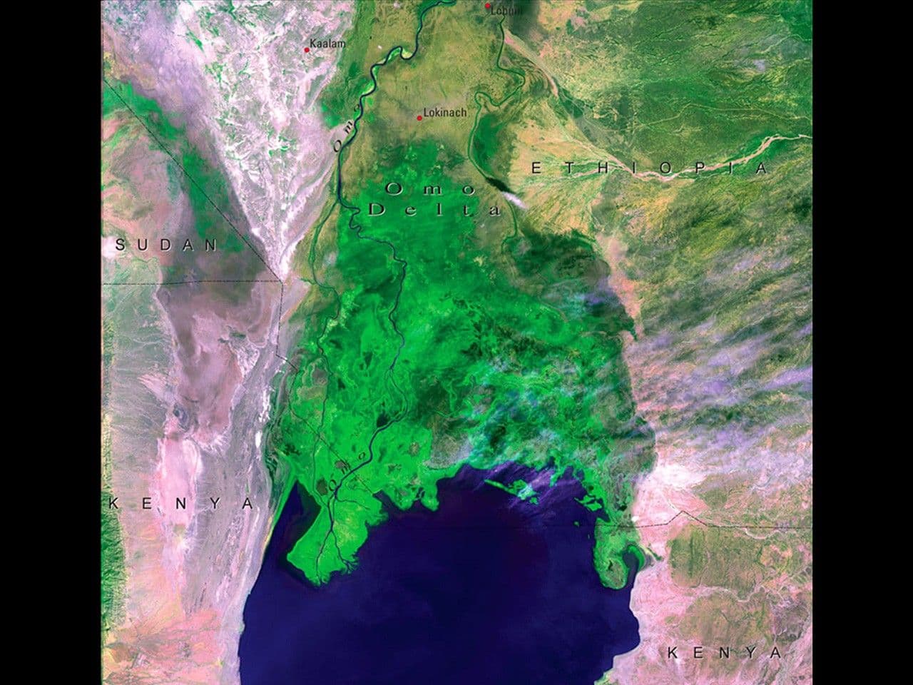 Omo Delta growth, Kenya