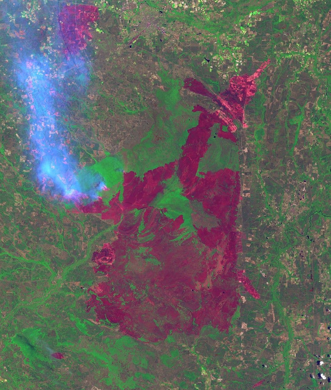 Honey Prairie Fire, Georgia, U.S.