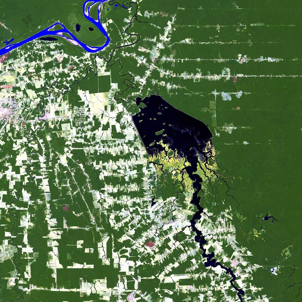 Samuel Dam impact / Deforestation in Rondonia, Brazil