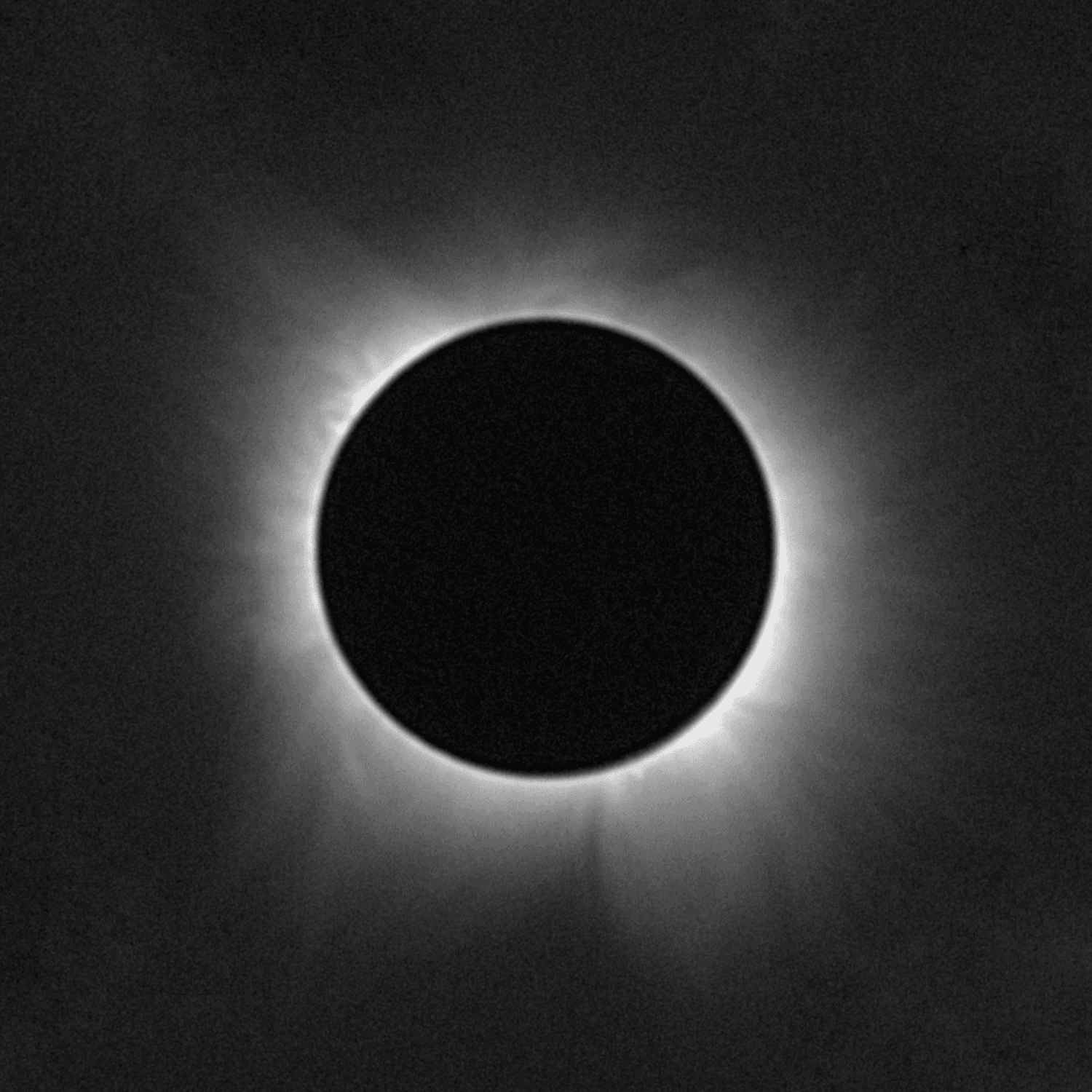 Chasing the 2024 Total Solar Eclipse With NASA Jets