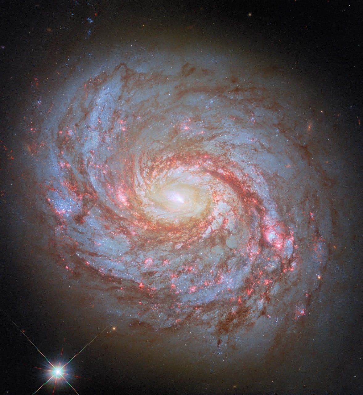 Hubble Spots a Squid in the Whale
