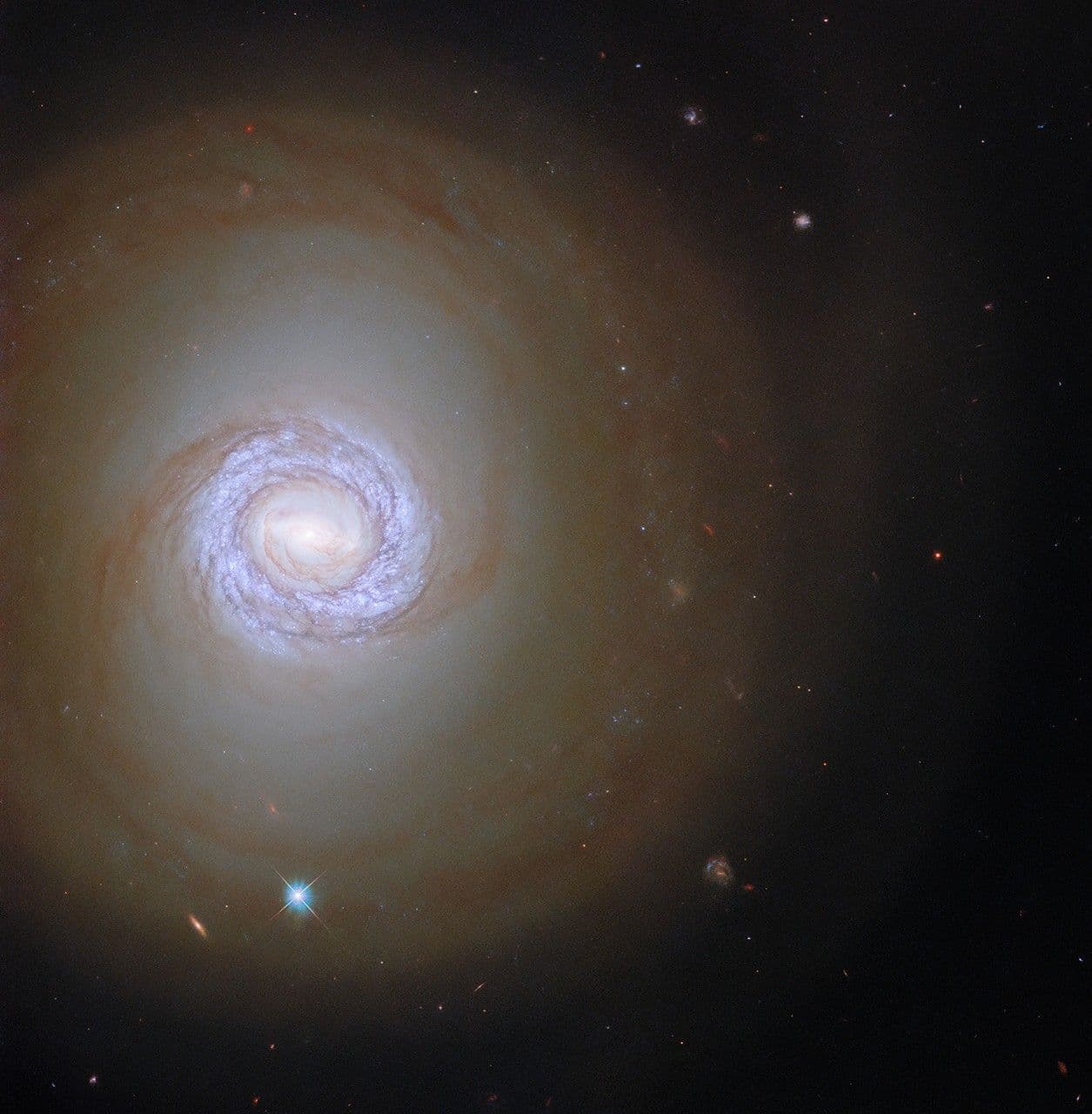 Hubble Pinpoints Young Stars in Spiral Galaxy
