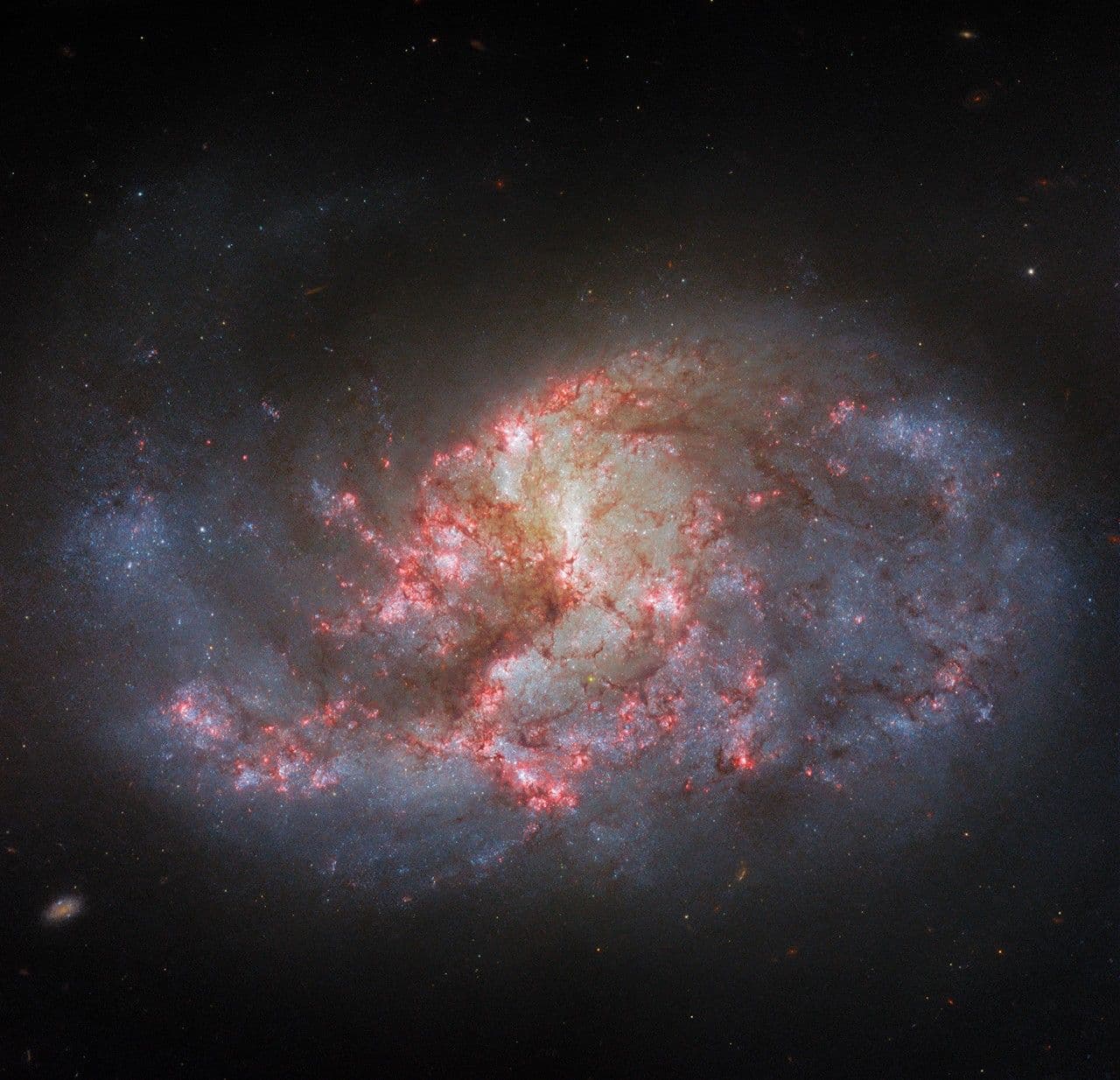 Hubble Filters a Barred Spiral