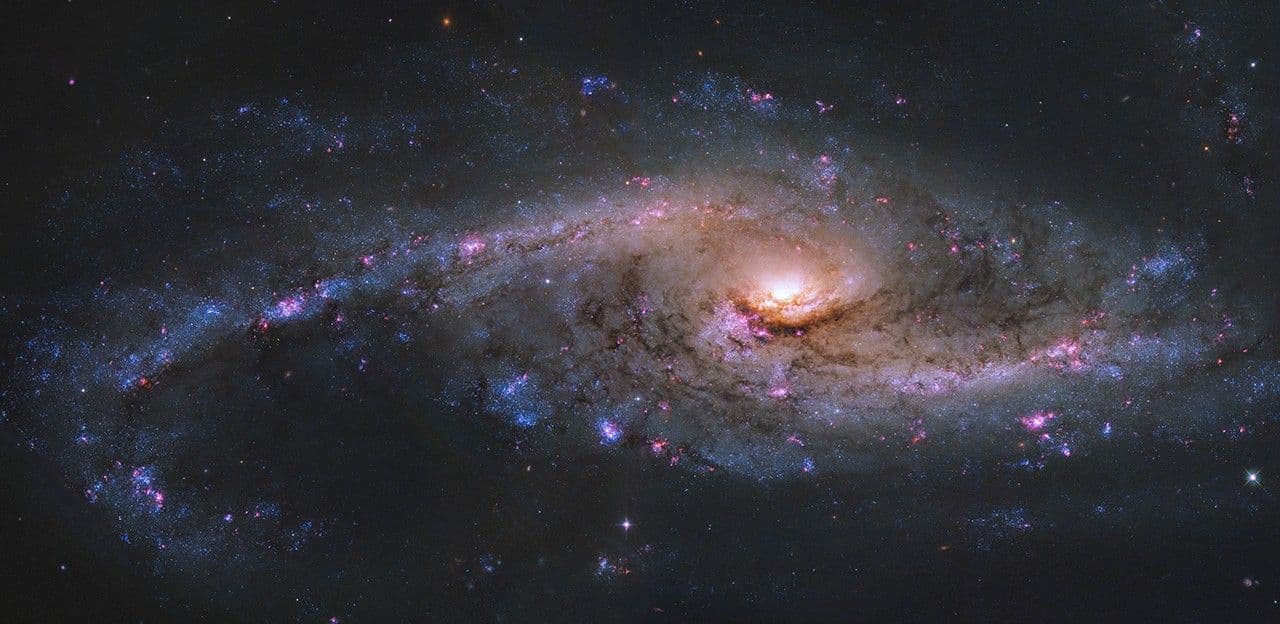 Hubble Spies a Spectacular Starburst Galaxy