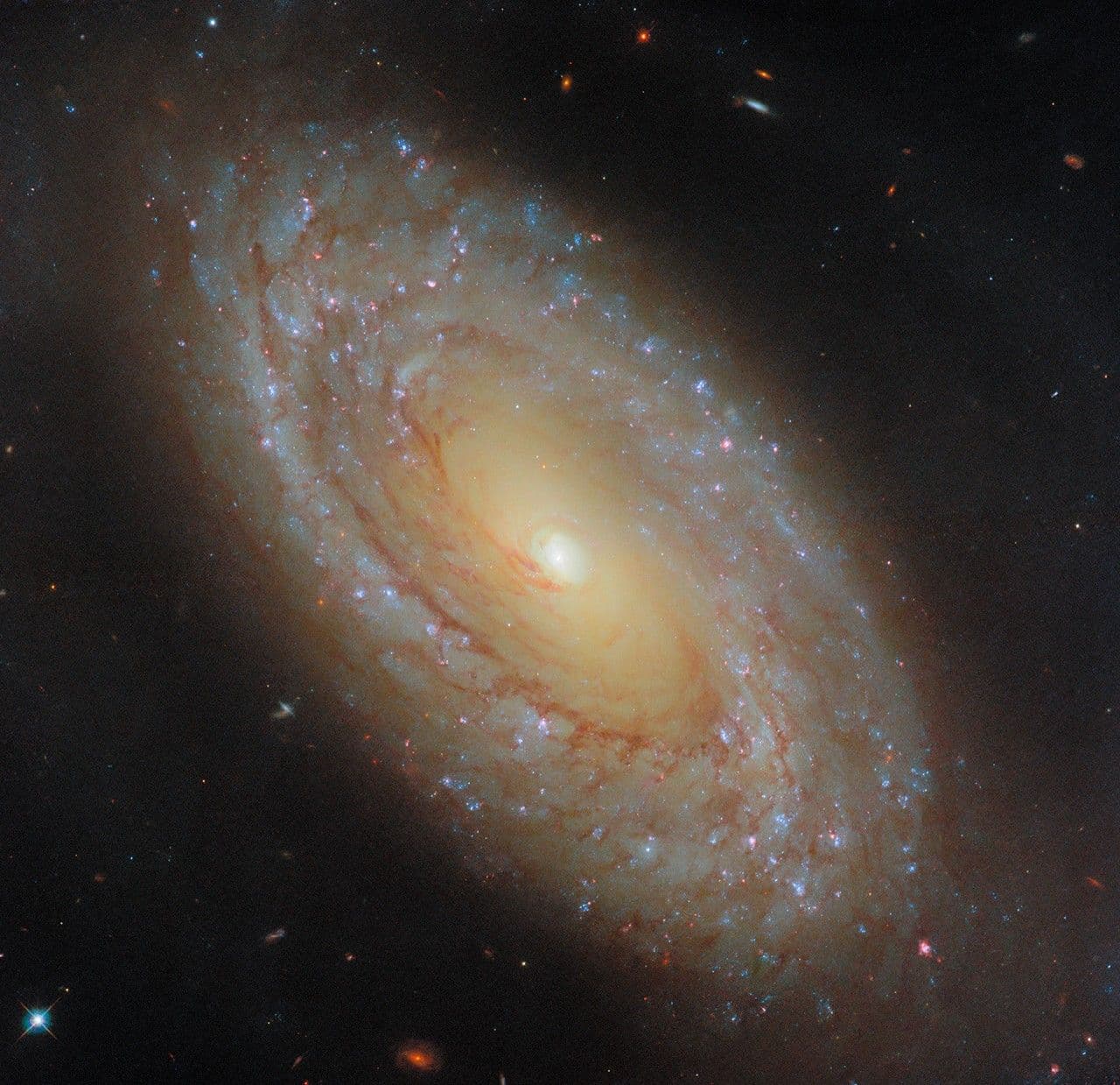 Hubble Studies a Nearby Galaxy’s Star Formation