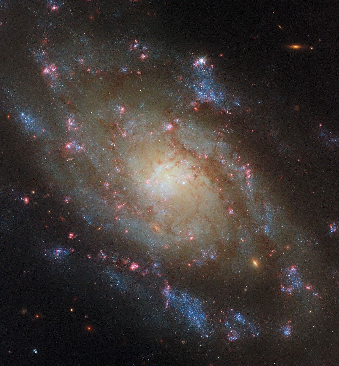 Hubble Spies a Spiral in the Water Snake
