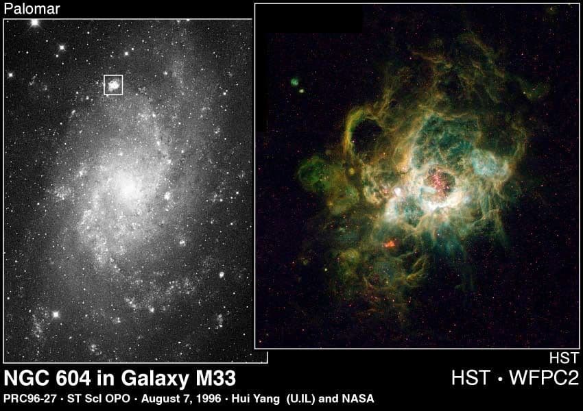 Giant Star Birth Region in Neighboring Galaxy
