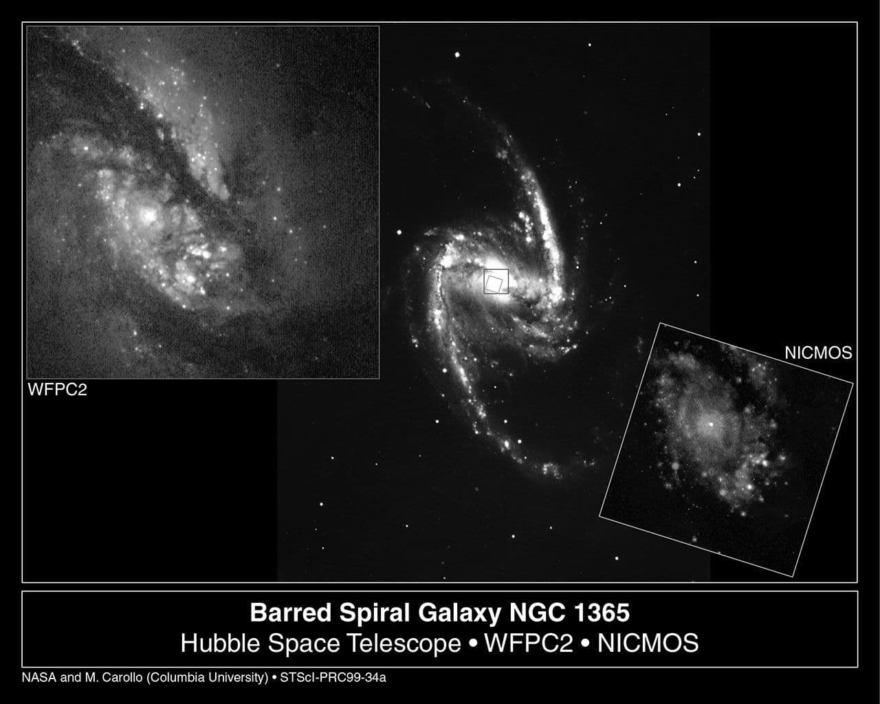 Starry Bulges Yield Secrets to Galaxy Growth