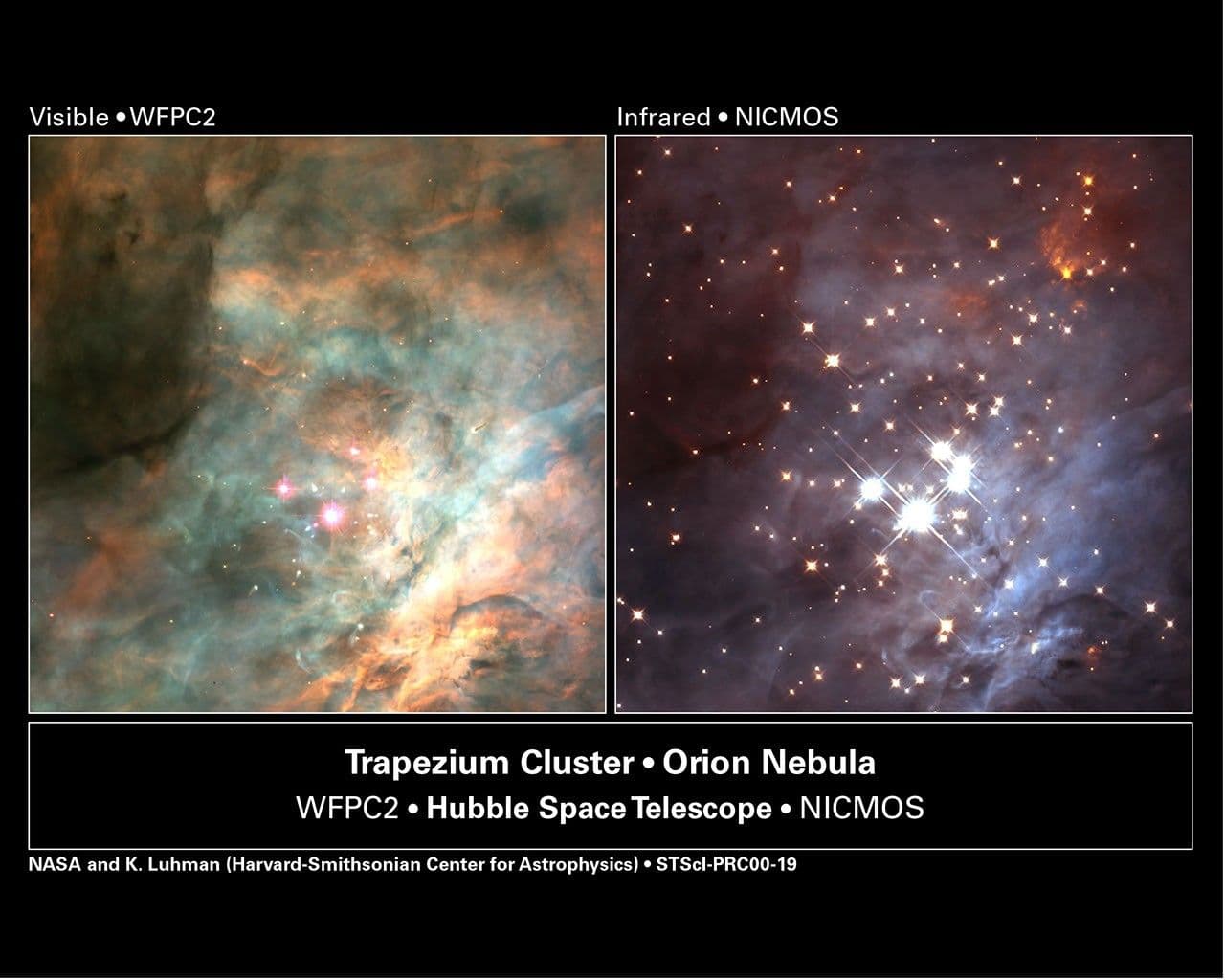 Hubble Spies Brown Dwarfs in Nearby Stellar Nursery