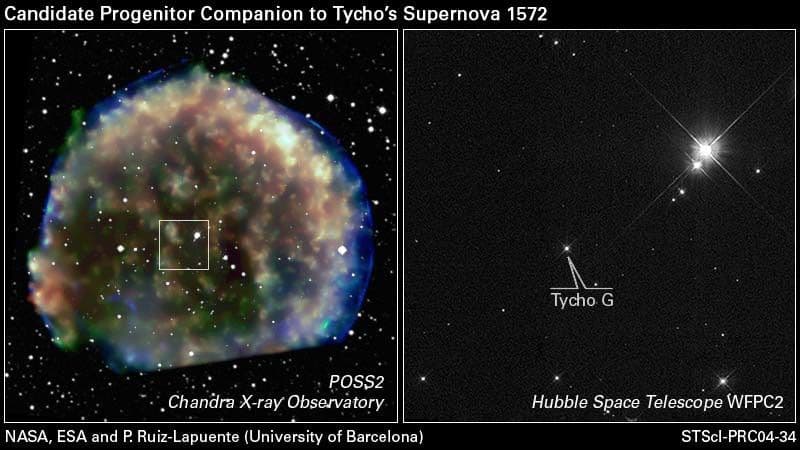 Stellar Survivor from 1572 A.D. Explosion Supports Supernova Theory