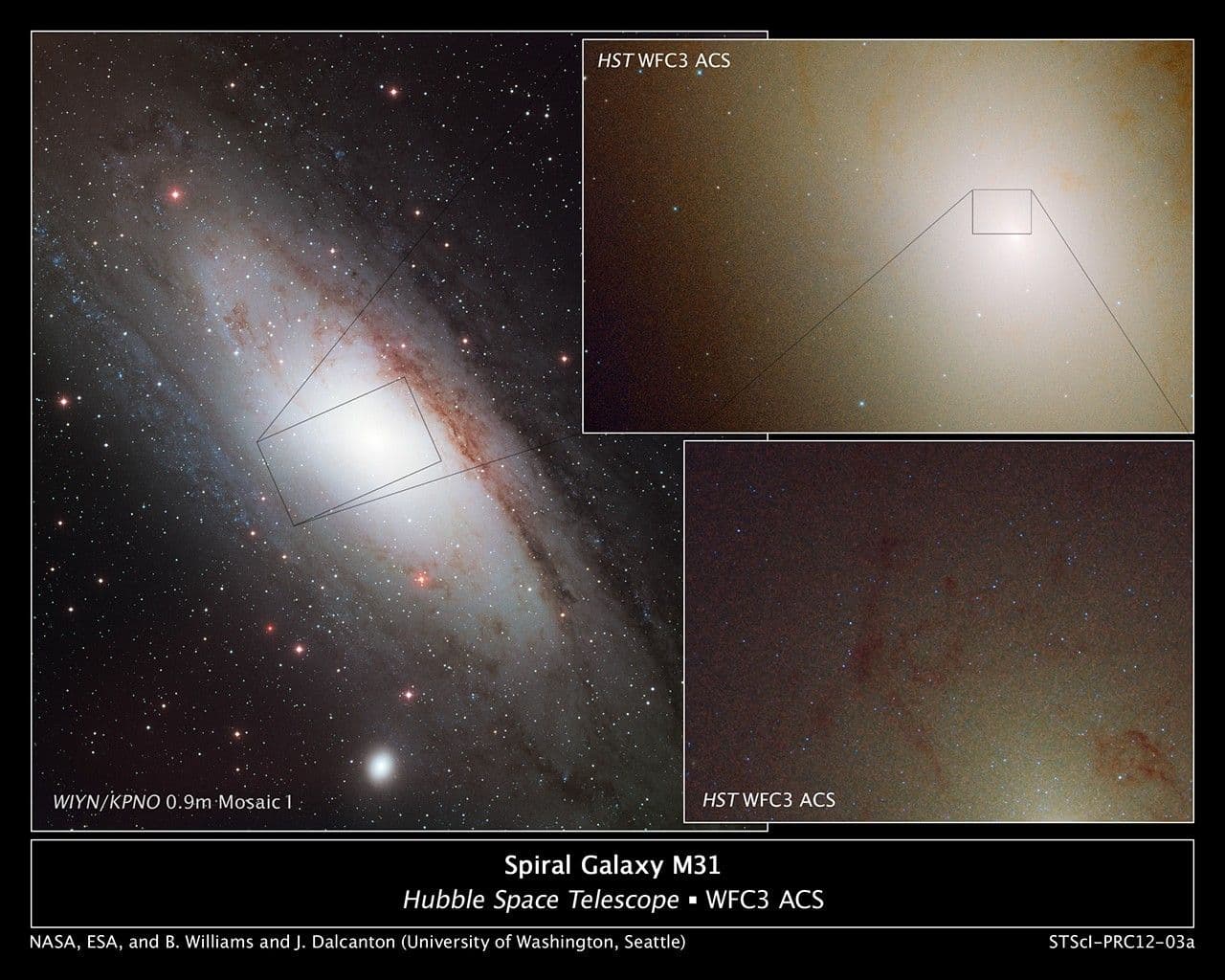Rare Ultra-blue Stars Found in Neighboring Galaxy’s Hub