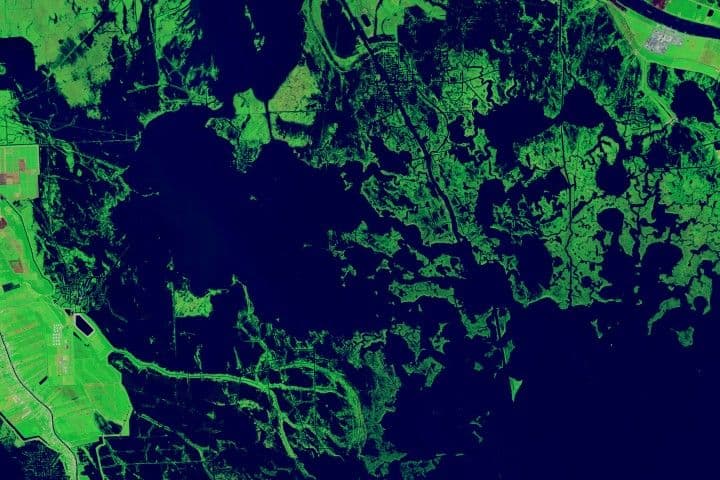 Forty Years of Change in Louisiana’s Wetlands