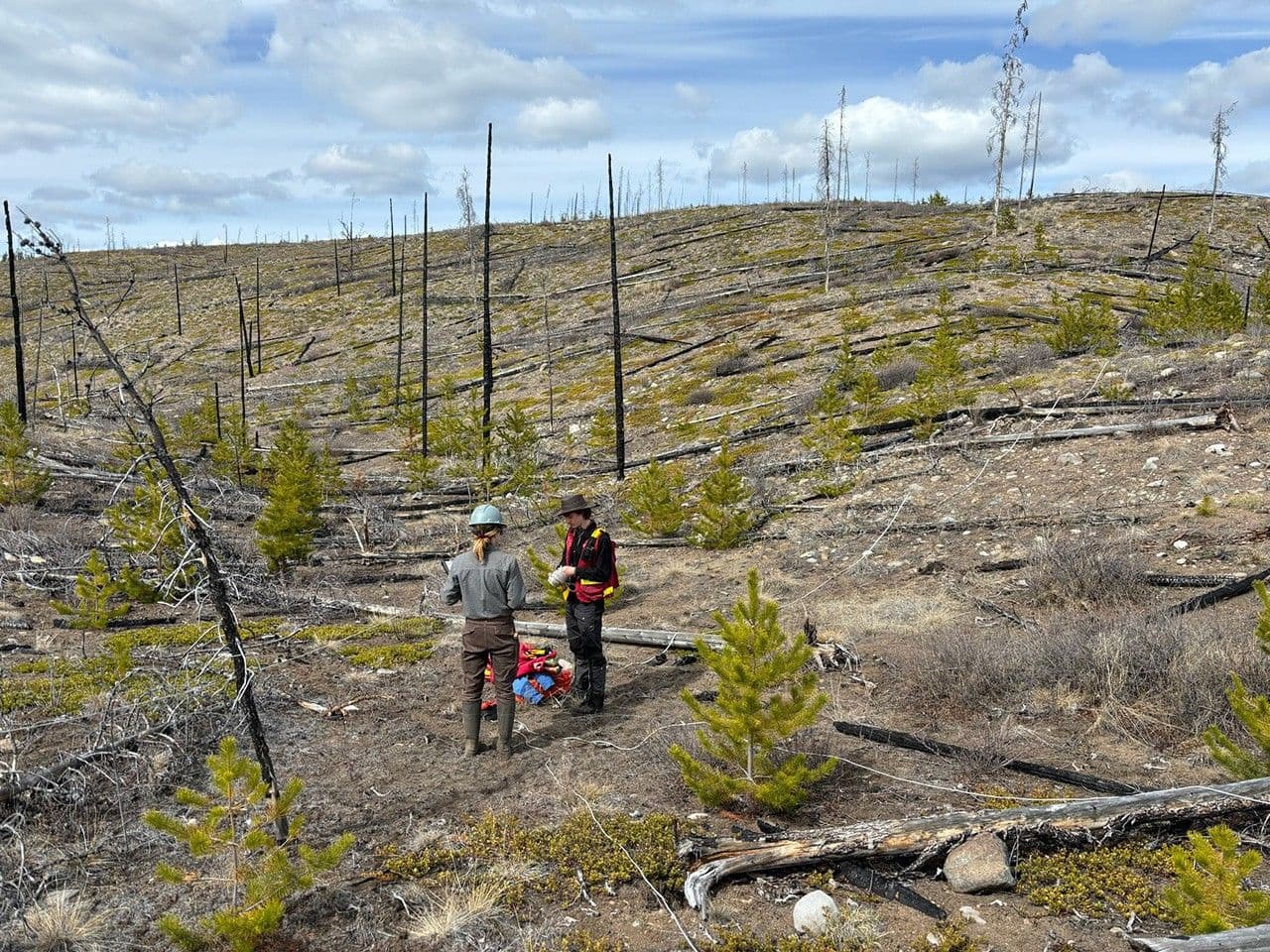 Understanding Forests After Fire With Landsat and LiDAR