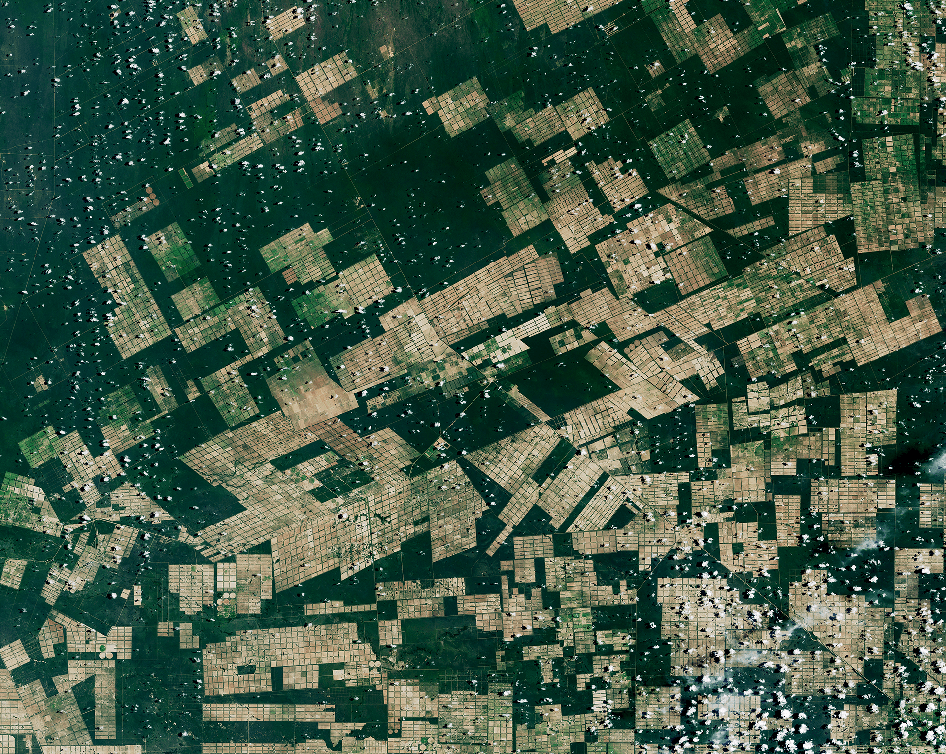Deforestation in Paraguay’s Gran Chaco