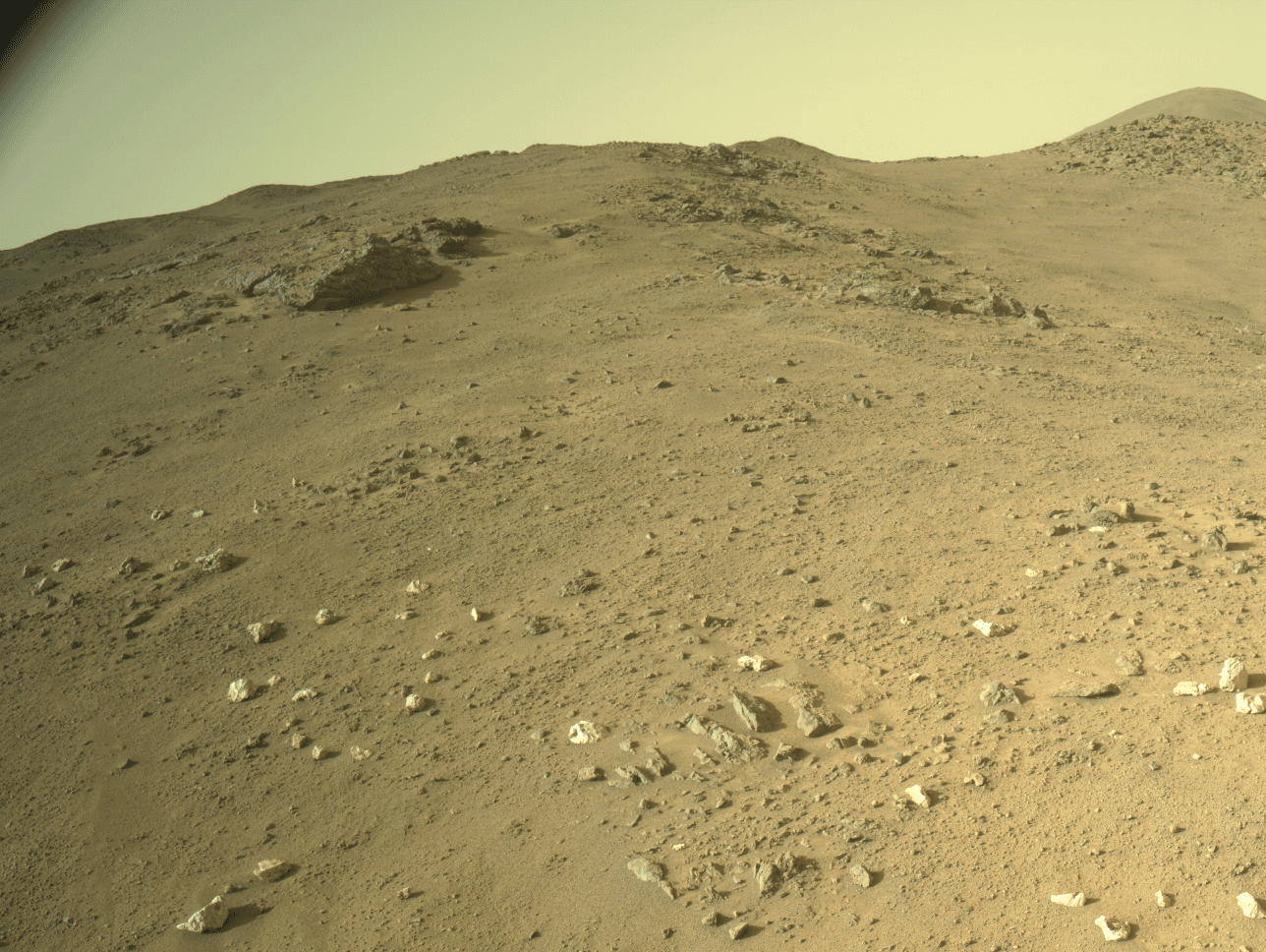 Peculiar Pale Pebbles