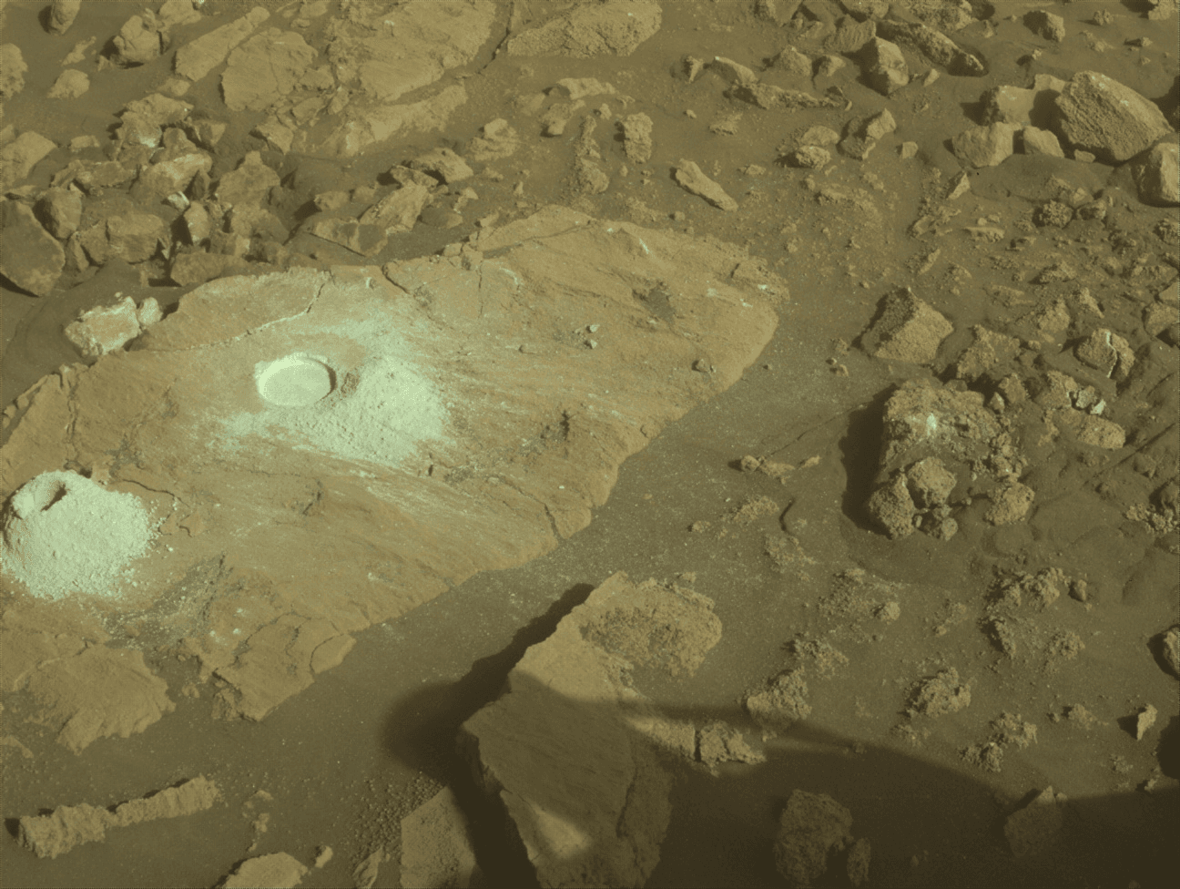 Gardens on Mars? No, Just Rocks!