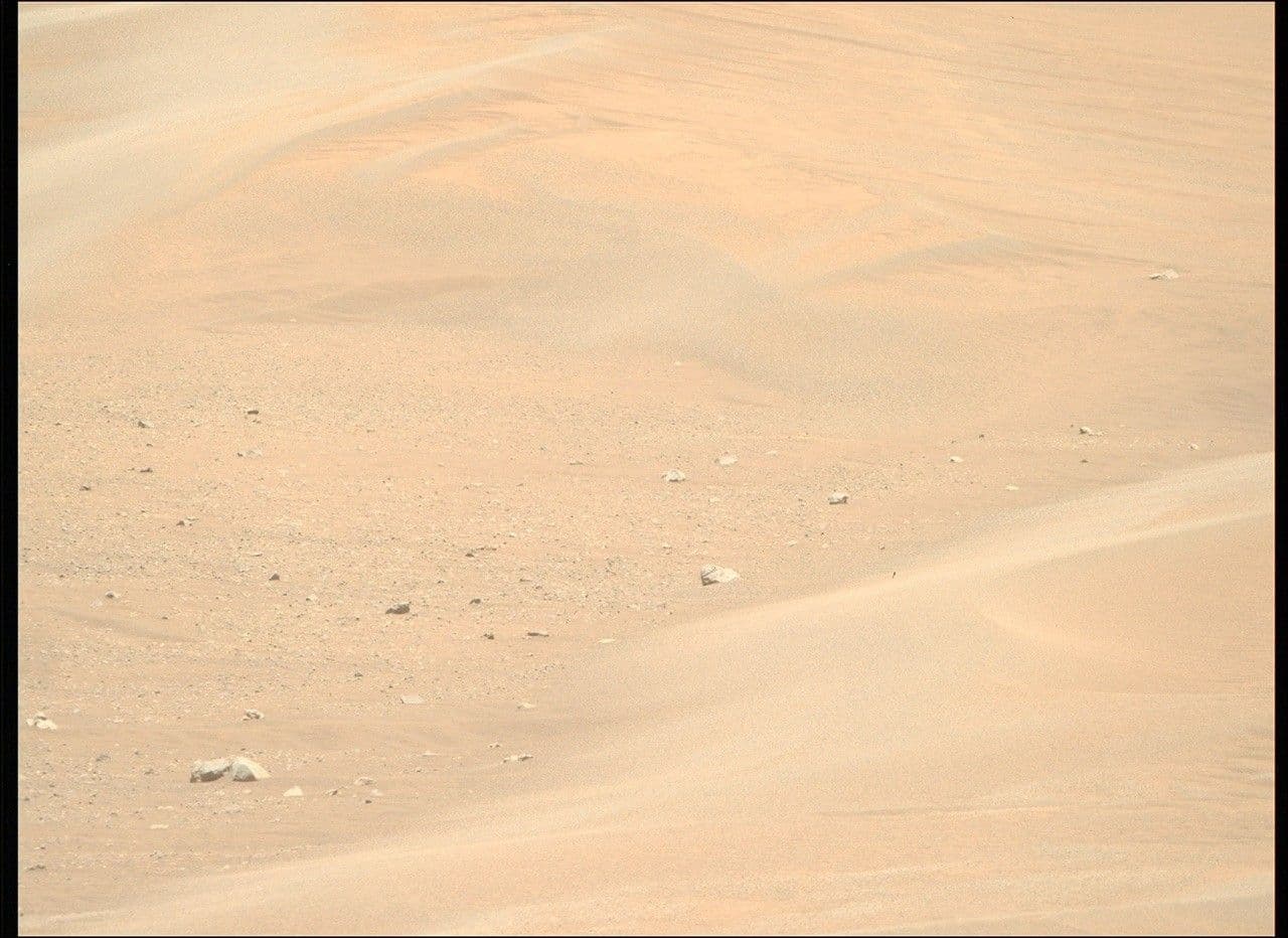 To See the World in a Grain of Sand: Investigating Megaripples at ‘Kerrlaguna’