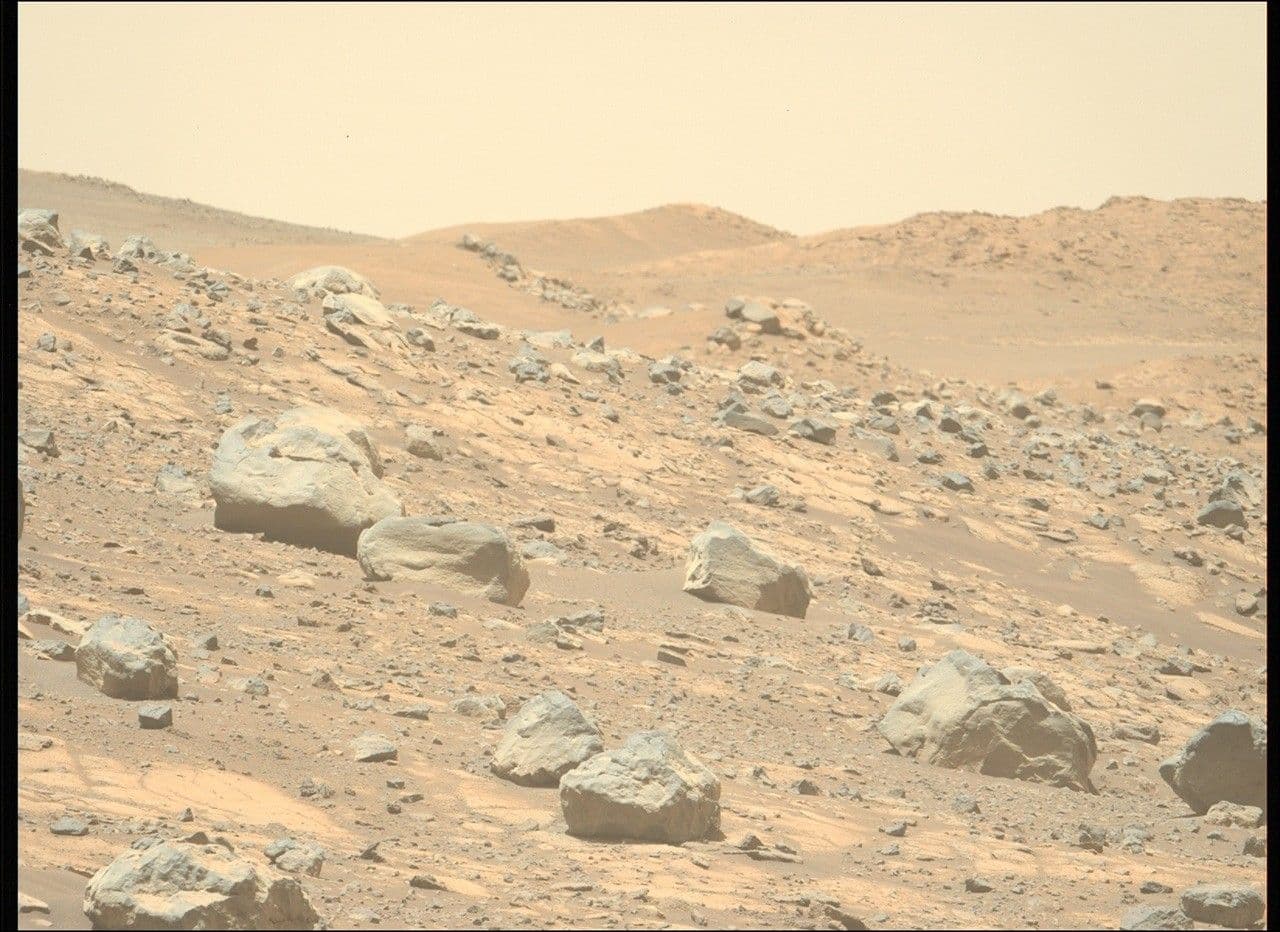 Feeling the Heat: Perseverance Looks for Evidence of Contact Metamorphism