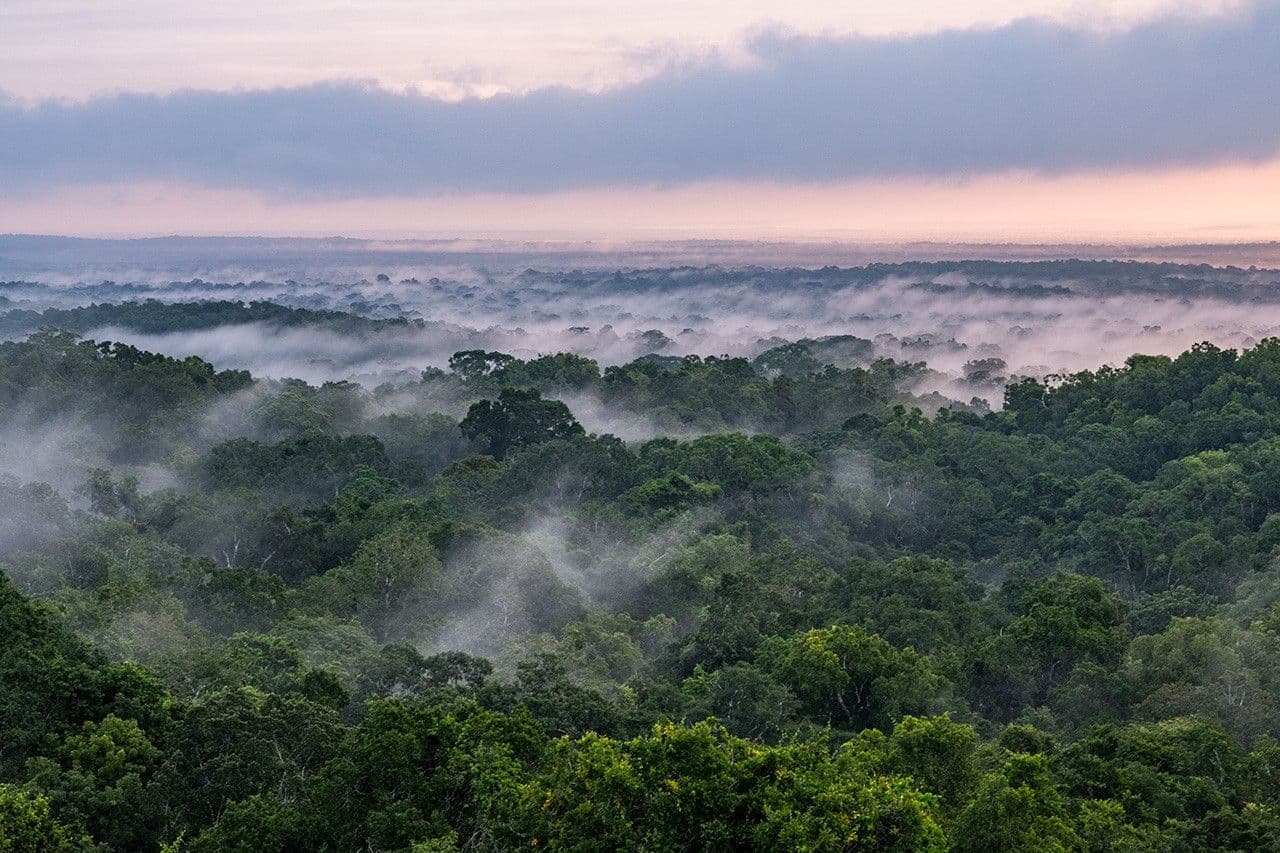 NASA-ISRO Radar Mission to Provide Dynamic View of Forests, Wetlands