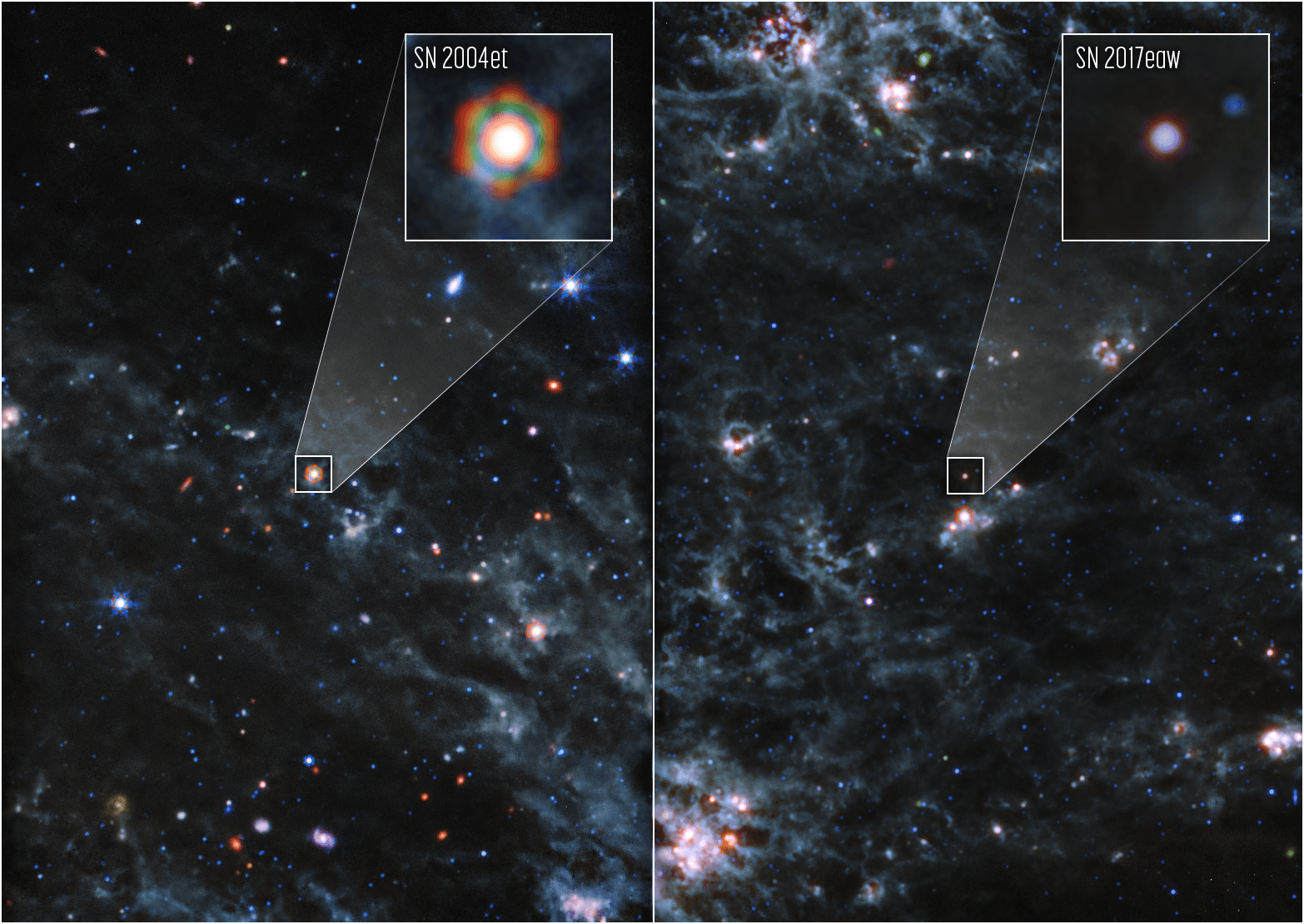 Webb Locates Dust Reservoirs in Two Supernovae