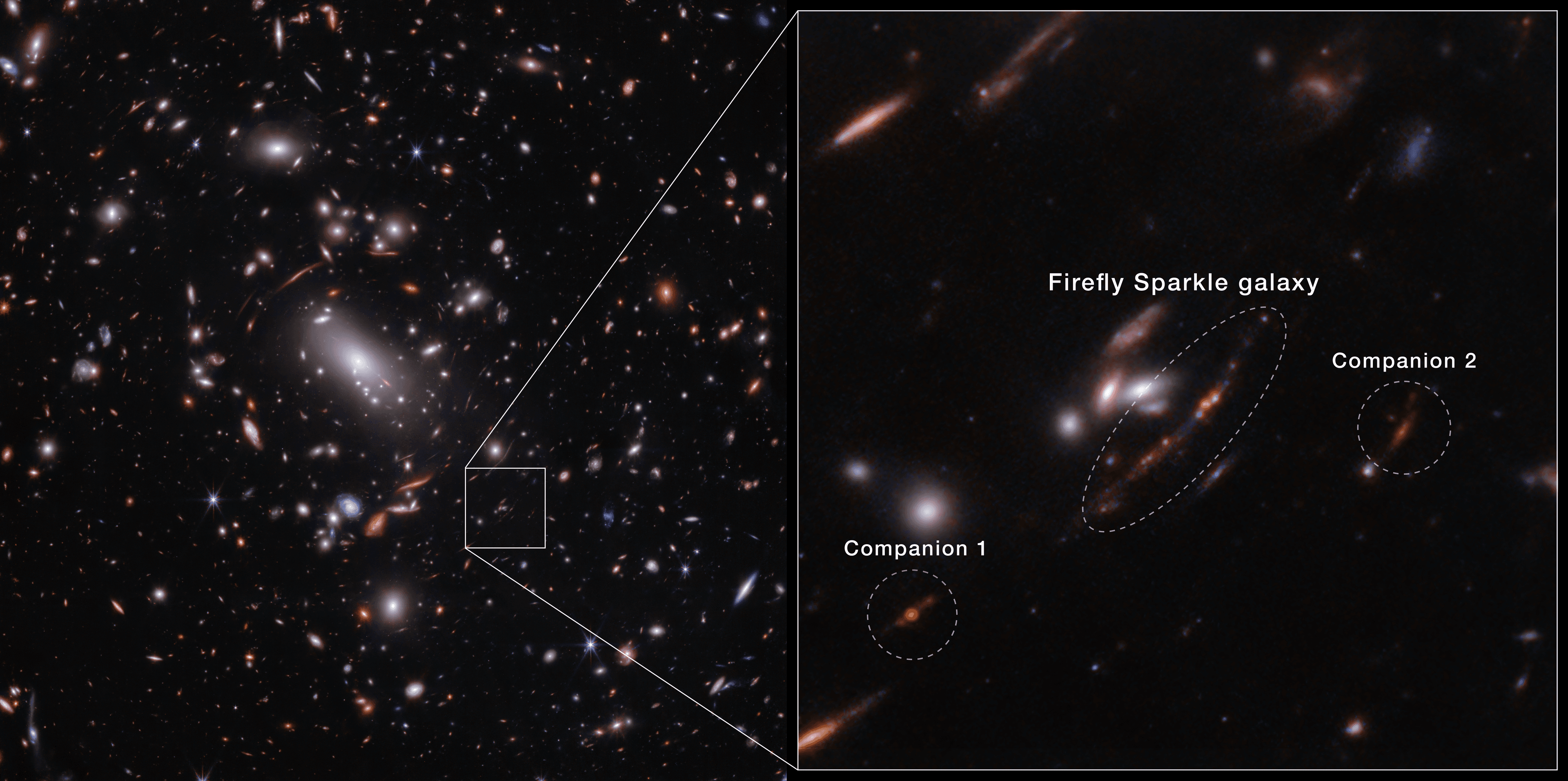Found: First Actively Forming Galaxy as Lightweight as Young Milky Way