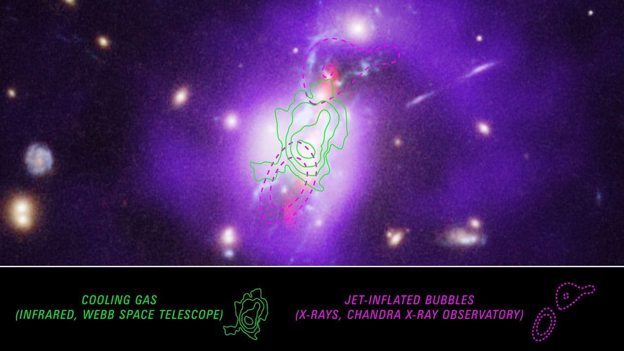 Webb Maps Full Picture of How Phoenix Galaxy Cluster Forms Stars