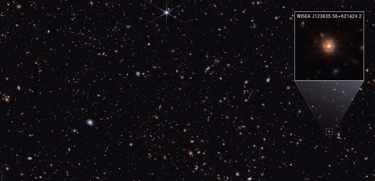 NASA Webb Explores Family Tree of Newly Discovered Distant Objects