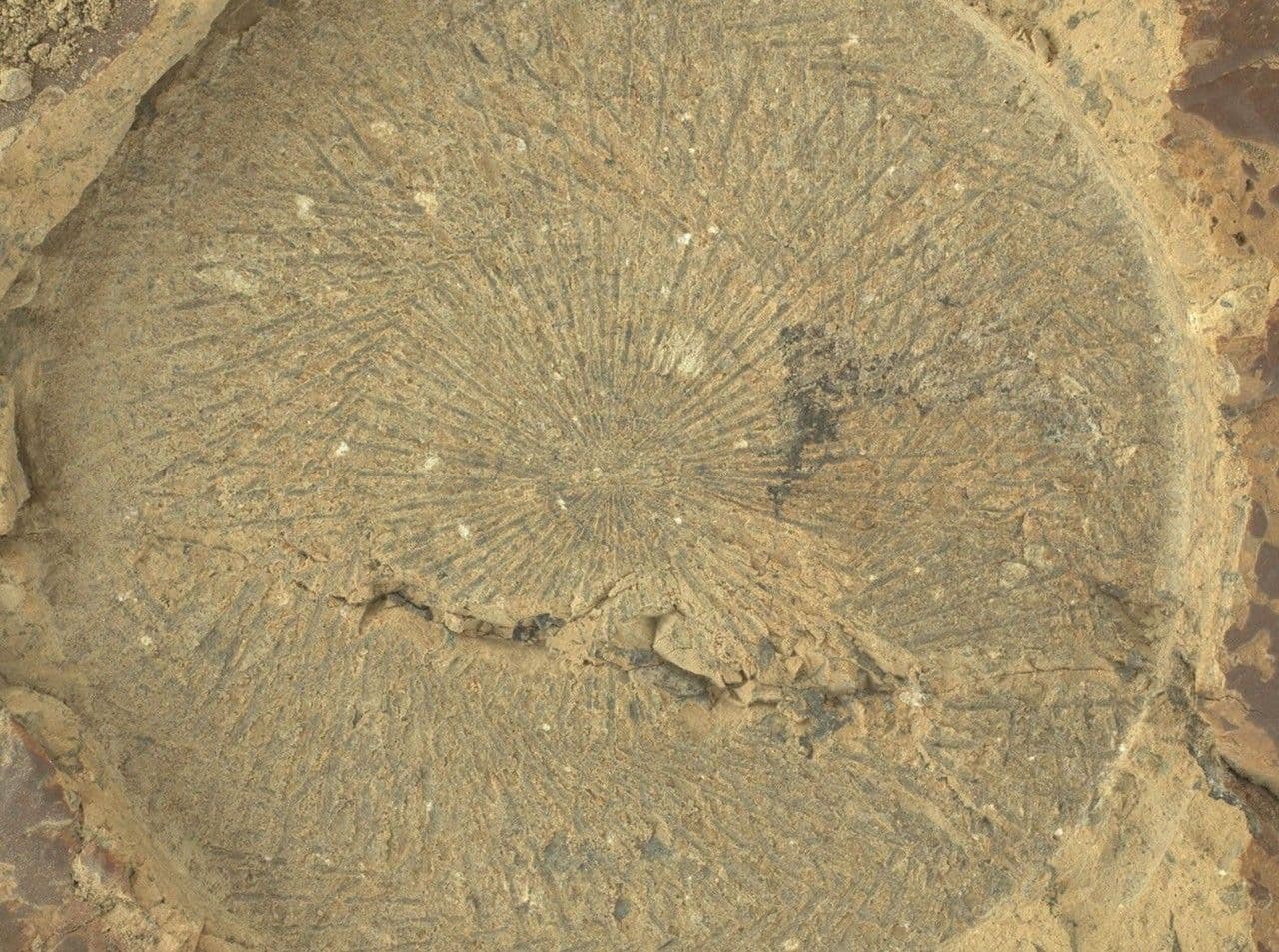 Zooming in on Perseverance Rover’s ‘Kenmore’ Abrasion Patch