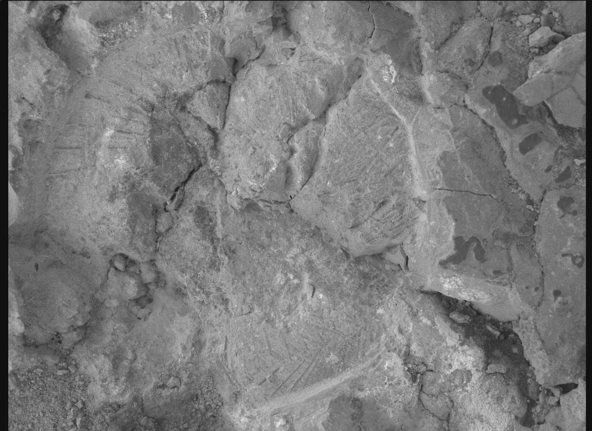 Foto de Marte da câmera SHERLOC_WATSON