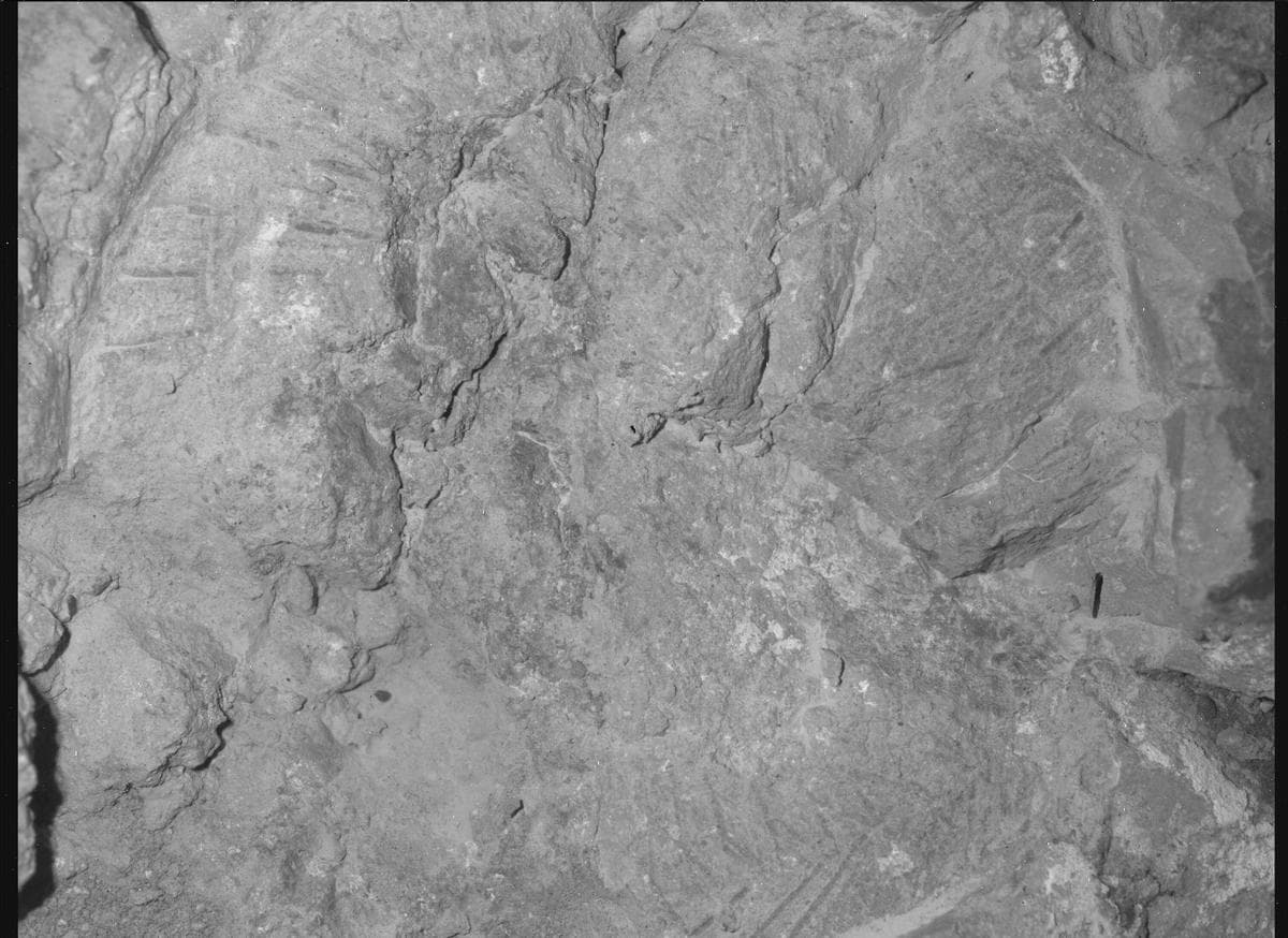 Foto de Marte da câmera SHERLOC_WATSON